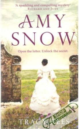 Obal knihy Amy snow