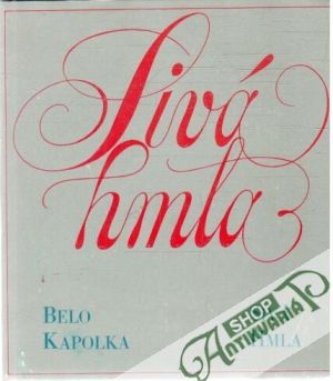 Obal knihy Sivá hmla