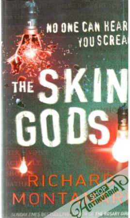 Obal knihy The skin gods