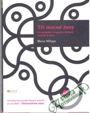 Tři mocné ženy - NDiaye Marie