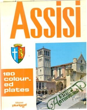 Obal knihy Assisi - Art and History in the Centuries