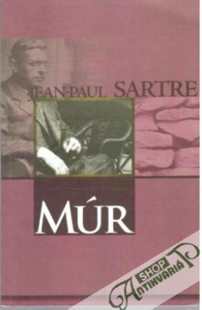 Obal knihy Múr