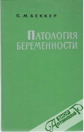 Obal knihy Natologija beremennosti