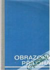 Kolektív autorov - Obrazová příloha - moderní automobil v obrazech