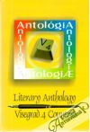 Kolektív autorov - Literary anthology Visegrad 4 countries