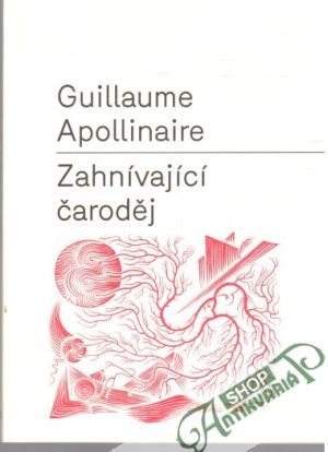 Obal knihy Zahnívající čaroděj