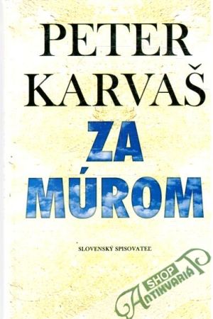 Obal knihy Za múrom