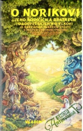 O Norikovi - Chvátil Vladimír