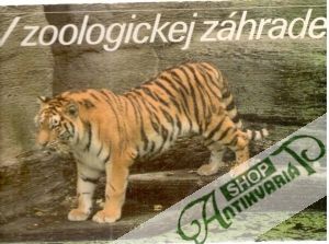 Obal knihy V zoologickej záhrade