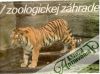 Kolektív autorov - V zoologickej záhrade