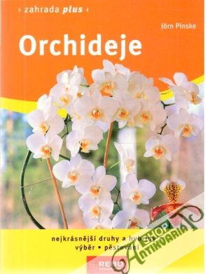 Orchideje - Pinske Jorn