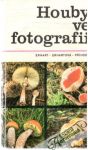 Erhart, Erhartová, Příhoda - Houby ve fotografii