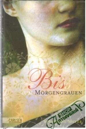 Obal knihy Bis zum Morgengrauen