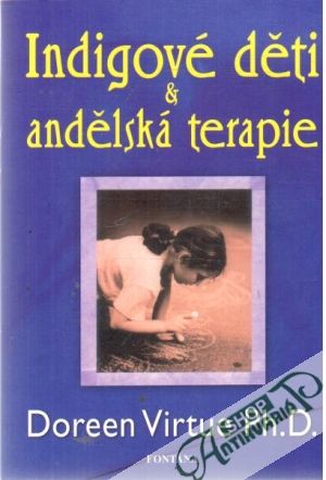 Obal knihy Indigové děti a andělská terapie