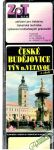 Kolektív autorov - České Budějovice Týn n. Vltavou a okolí