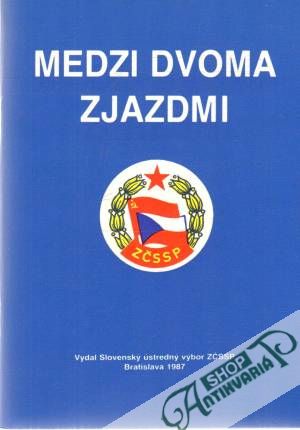 Obal knihy Medzi dvoma zjazdmi