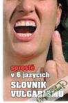 Bajger Kryštof a kolektiv - Slovník vulgarismu - sprostě v 6 jazycích