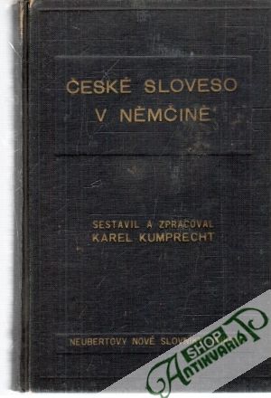 Obal knihy České sloveso v němčině