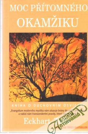 Obal knihy Moc přítomného okamžiku