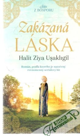 Obal knihy Zakázaná láska