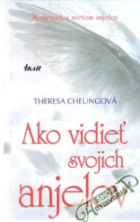 Obal knihy Ako vidieť svojich anjelov