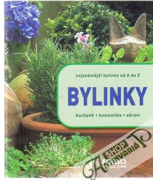 Bylinky - nejznámější bylinky od A do Z - Rausch Andrea, Lotz Brigitte