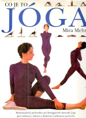 Co je to jóga - Mehta Mira