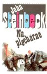 Steinbeck John - Na plechárně