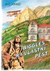 Johns W. E. - Biggles na vlastní pěst