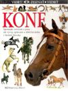 Duchková Silvia  - Kone - vidieť, poznať, vedieť