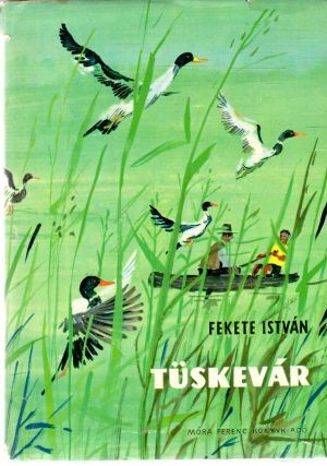 Obal knihy Tuskevár