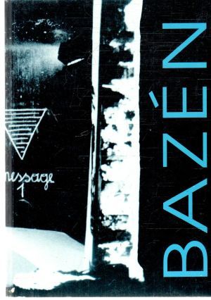 Obal knihy Bazén