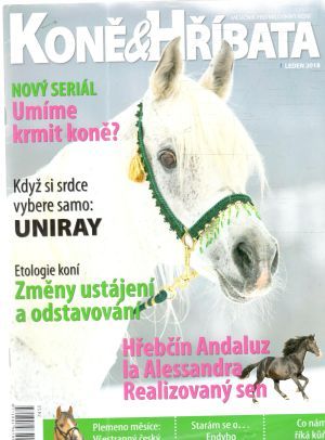 Obal knihy Koně & hříbata 1-12/2018