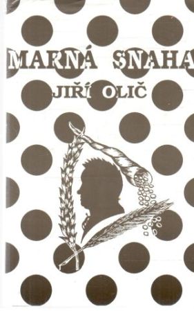Obal knihy Marná snaha