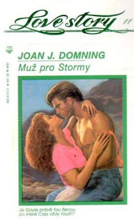 Obal knihy Muž pro Stormy
