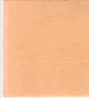 Obal knihy Priveľa miesta