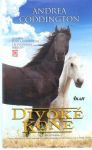 Coddington Andrea - Divoké kone