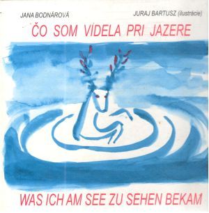 Obal knihy Čo som videla pri jazere - Was ich amsee zu sehen bekam