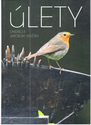 Obal knihy Úlety