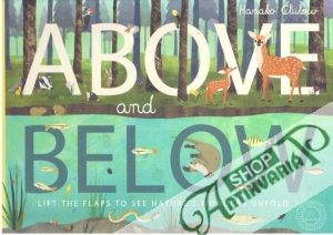 Above and below - Clulow Hanako